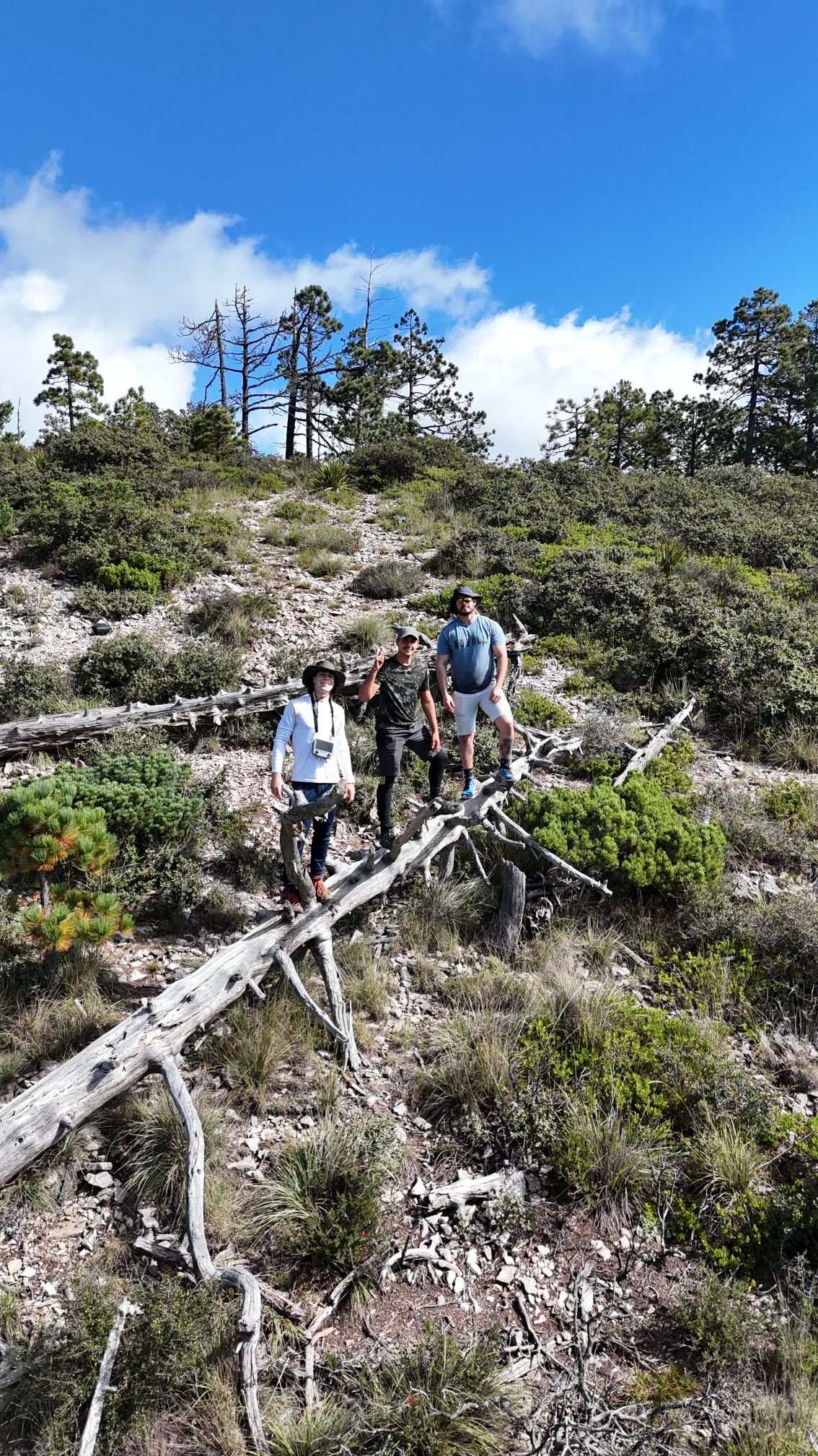 Wp 17632351278638106236120796684933