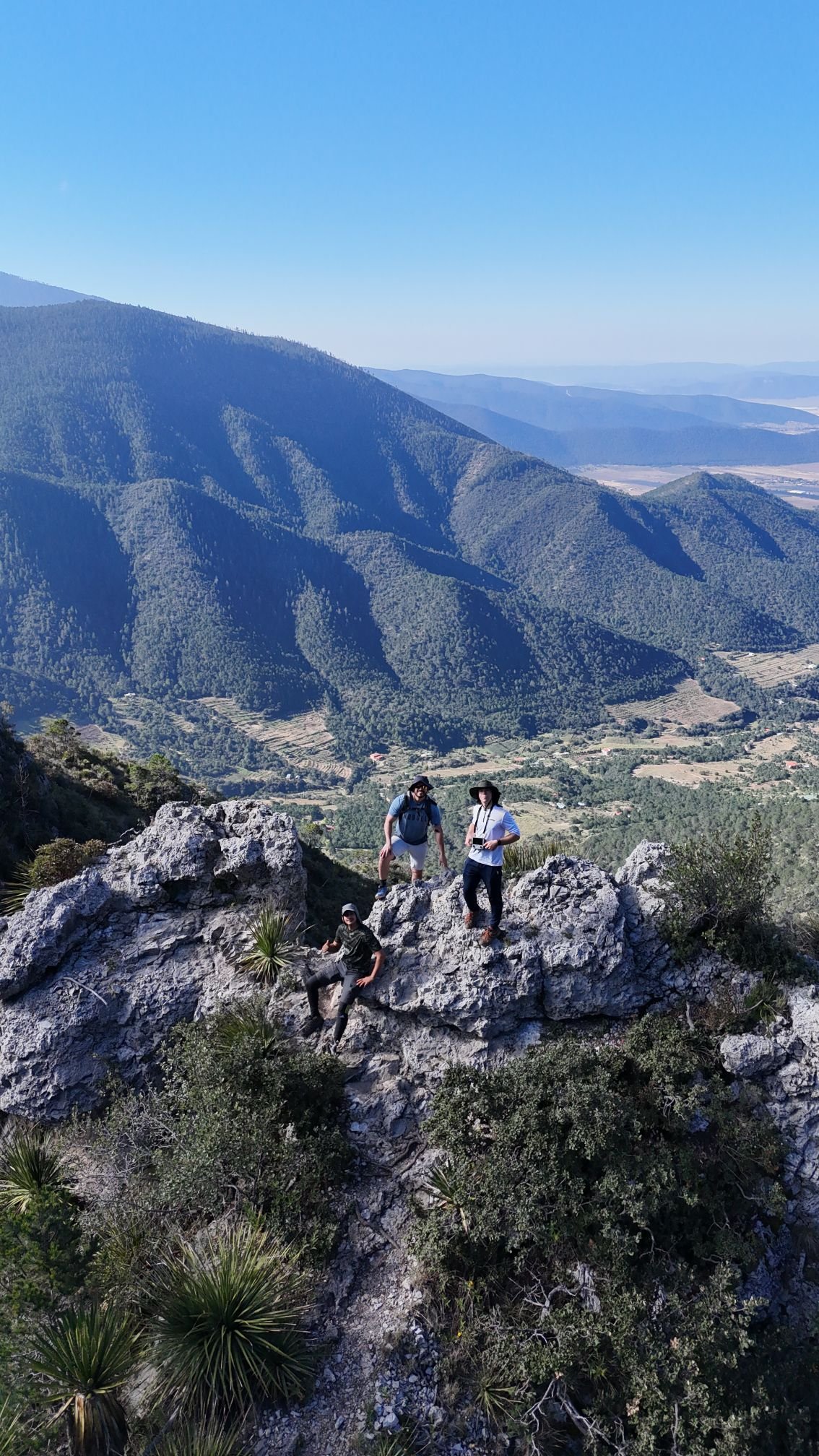 Wp 17632351281514414471138878854011