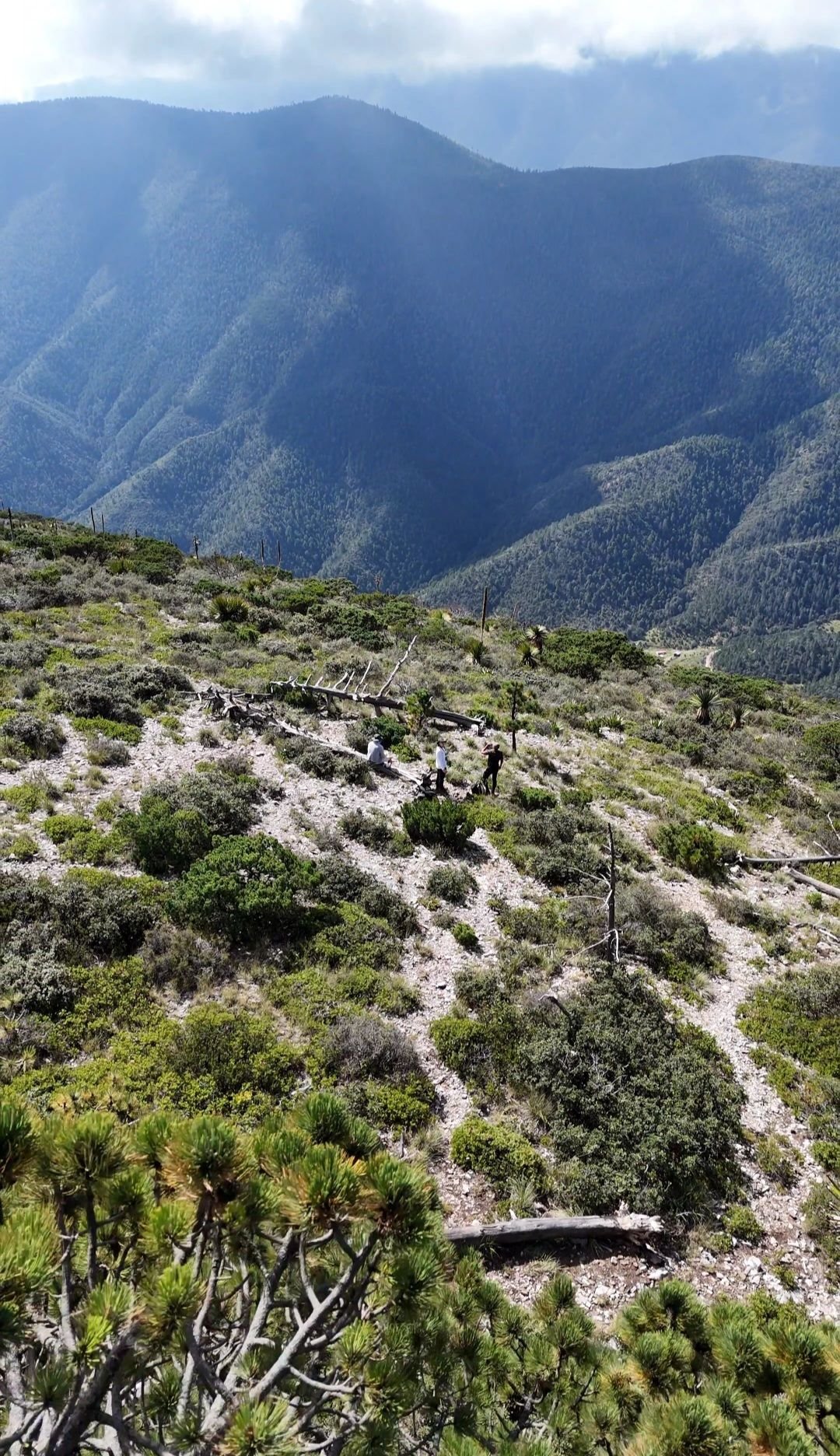 Wp 17632353124982582544060488683842