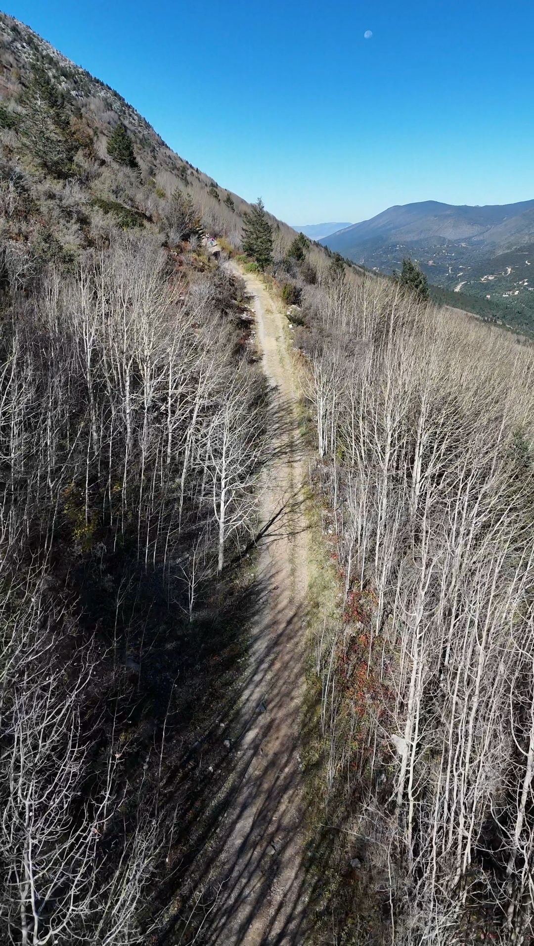 Wp 17632359741443264614677959074983