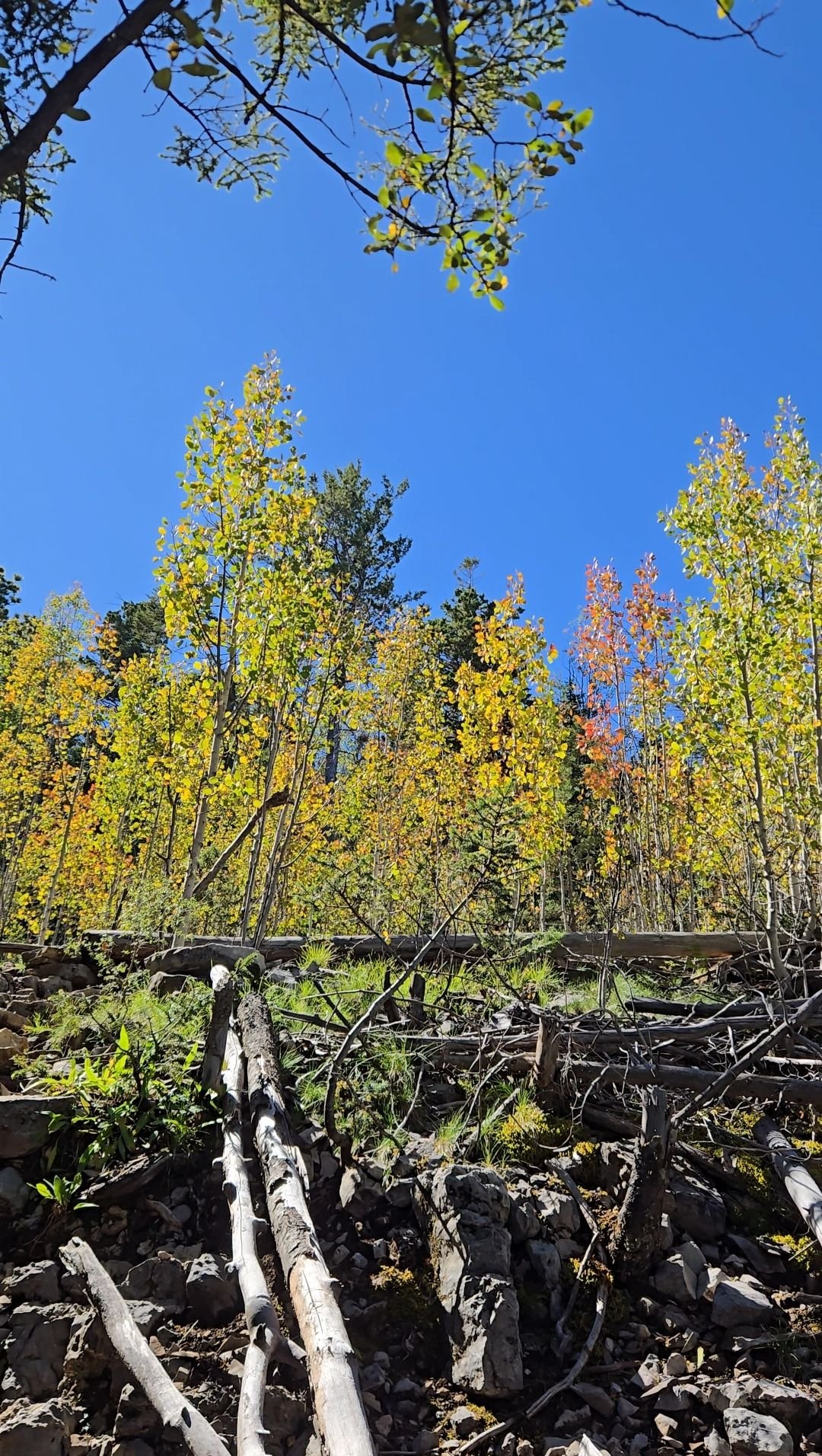 Wp 17632367180303677161879695729402