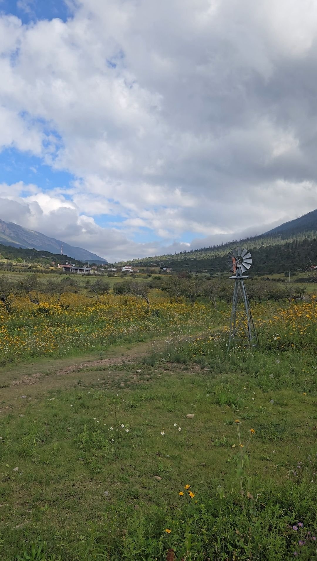 Wp 17632367181236008959582946583504