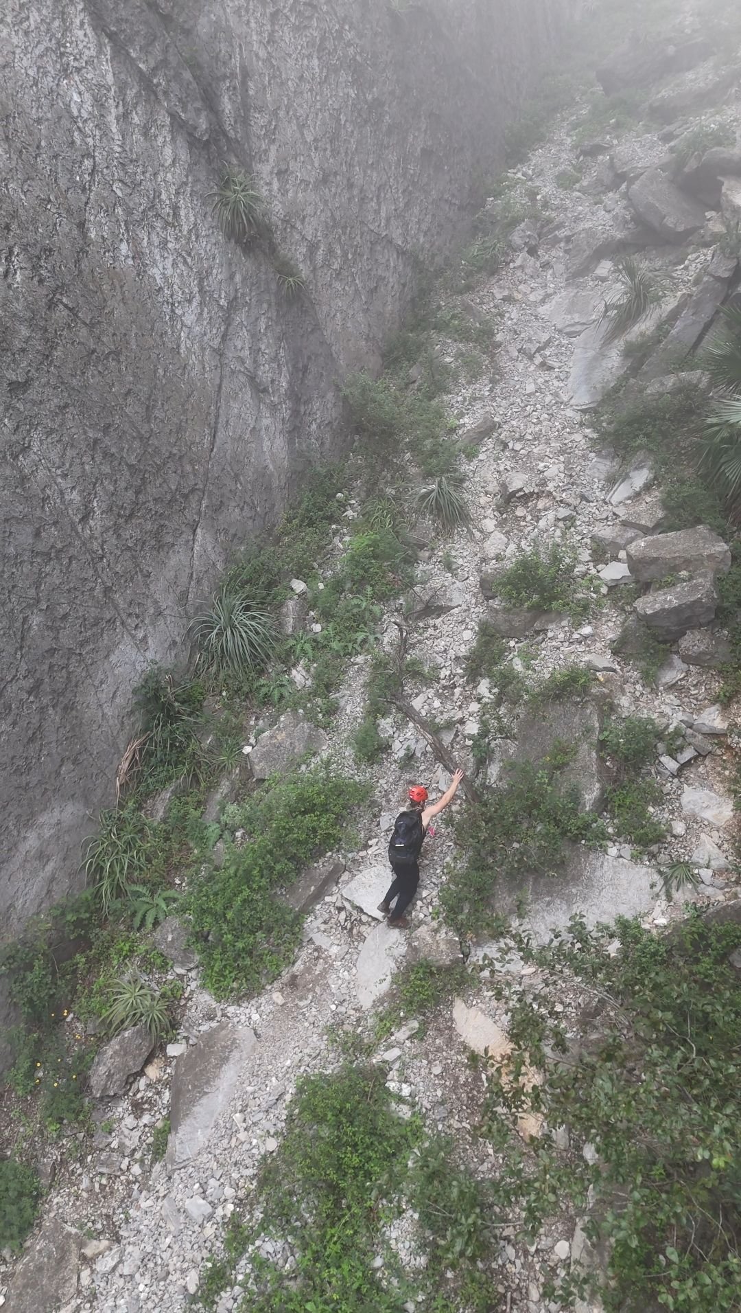 Wp 17632369831622620542339786501775