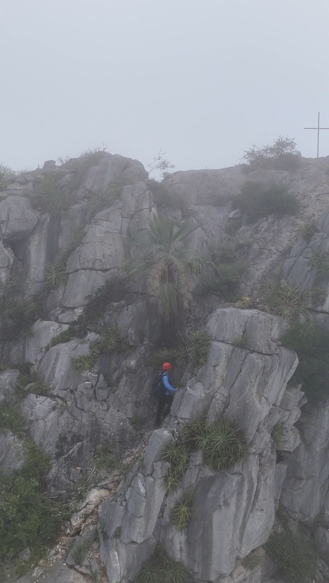 Wp 17632369832571369278138614652938