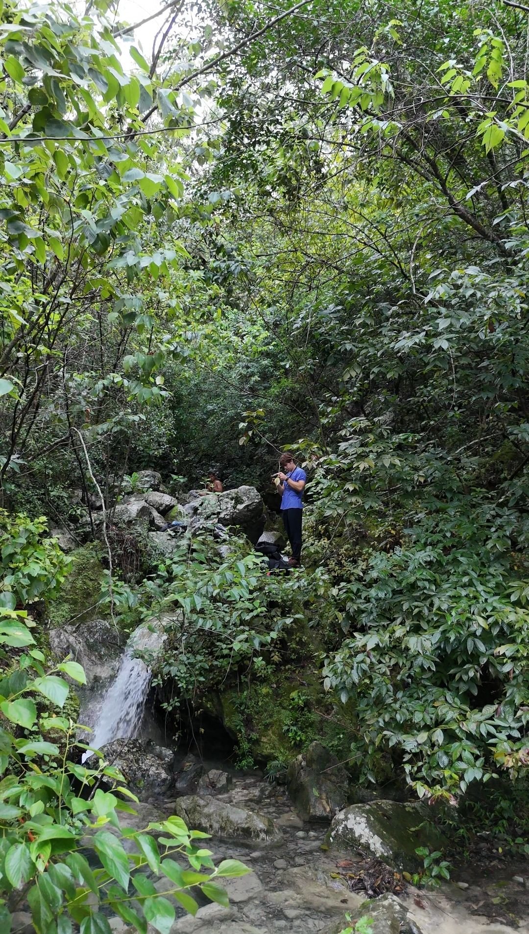 Wp 17632378635275952876832136765272