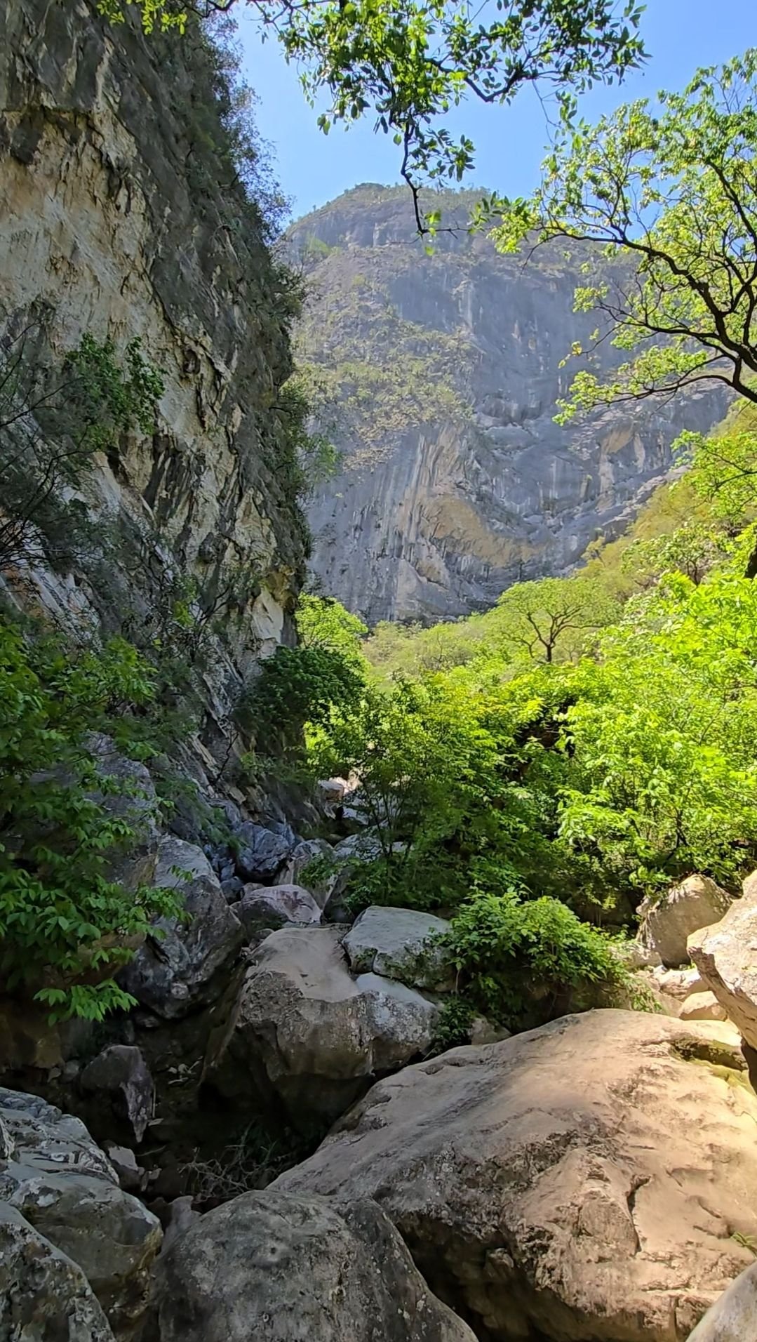 Wp 17632396687705231802664175816045