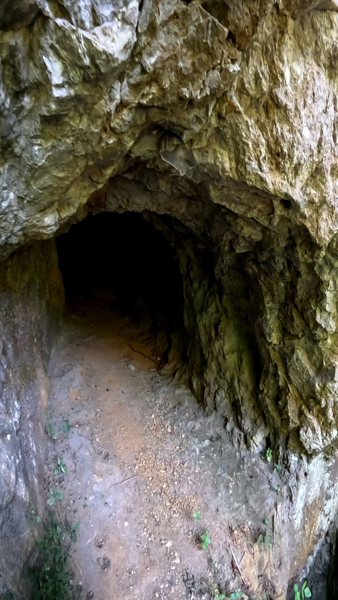 Wp 17632396688558059250408303827793