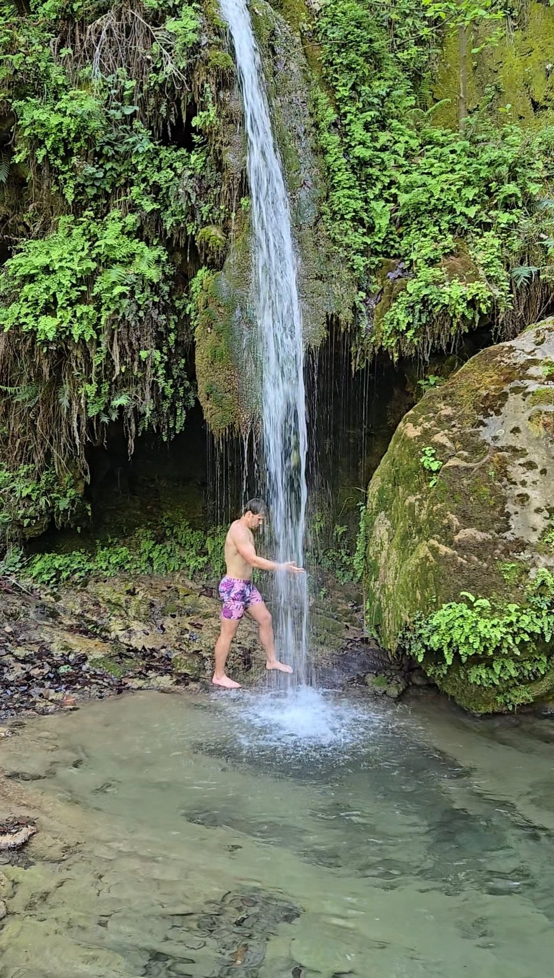 Wp 17632396689231495664098864355994