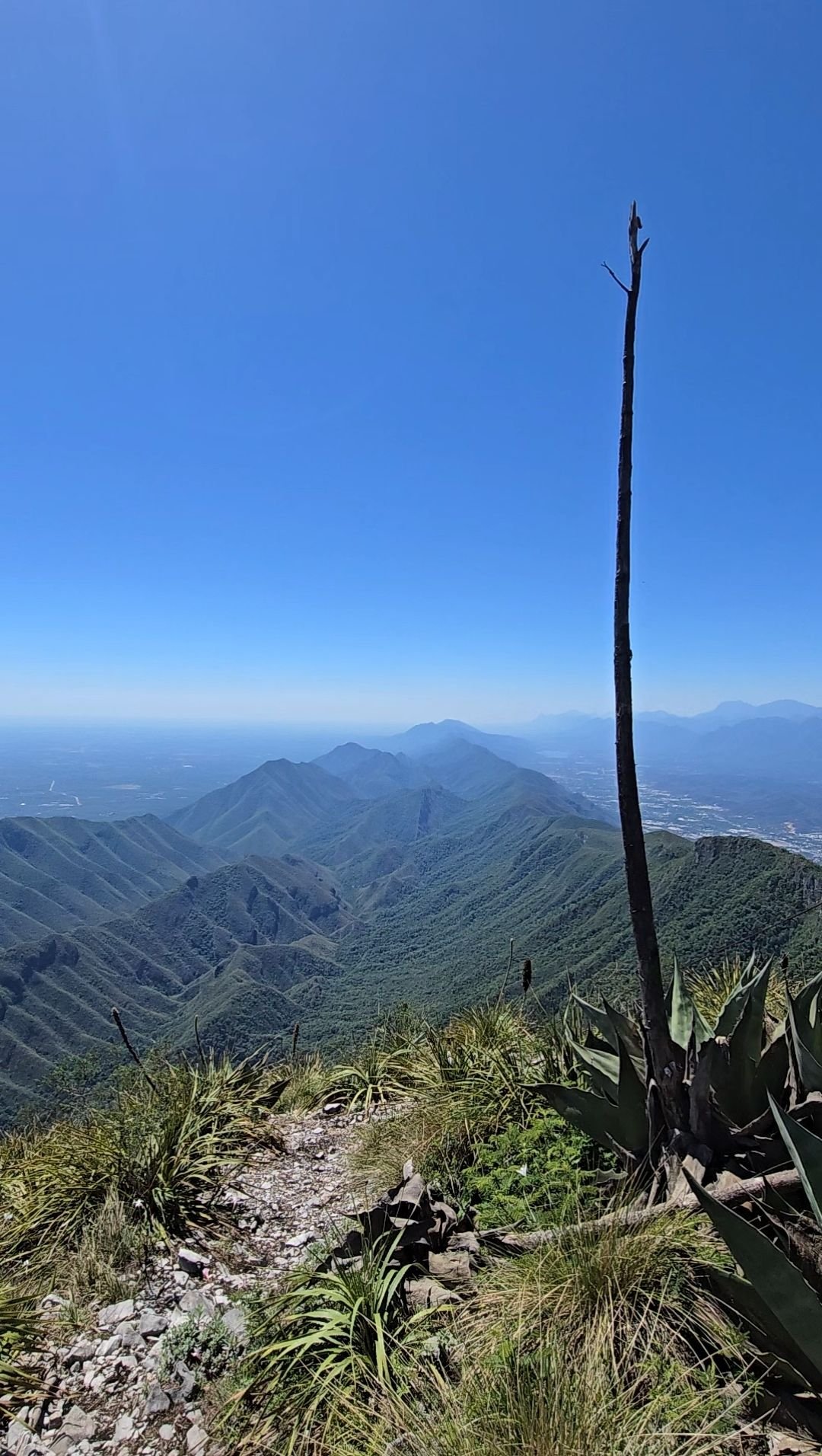 Wp 17632455125001696972909339808357