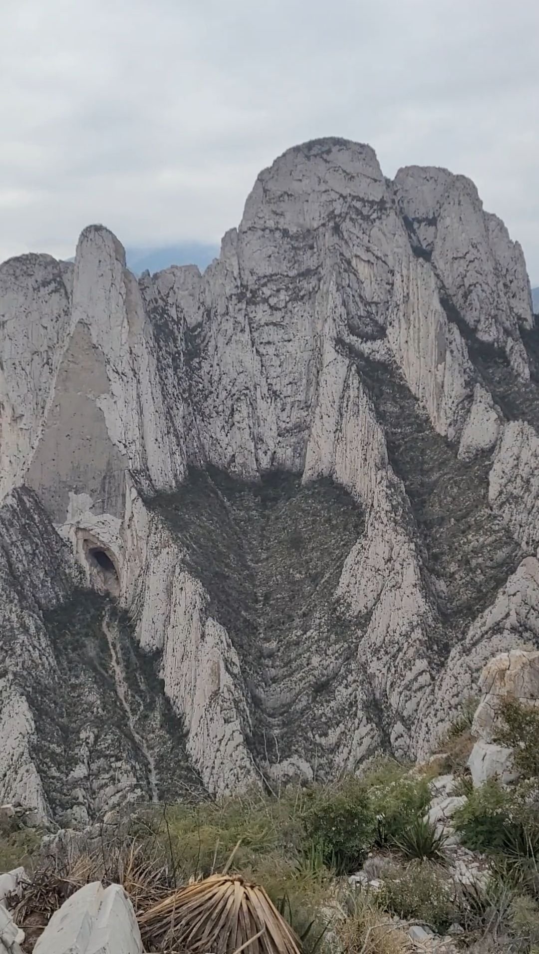 Wp 17634108858275585330782211665572