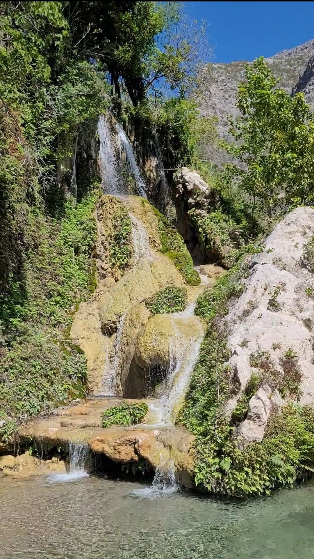 Wp 17634108861565240005353811983543