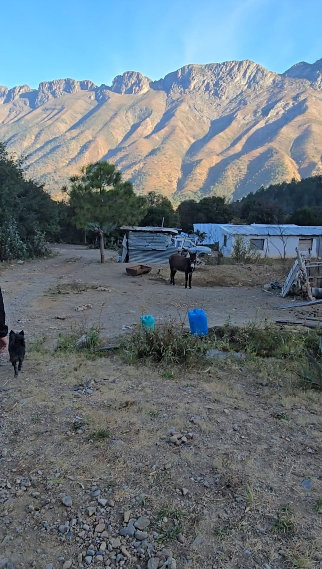 Wp 17634108864387803235345194217438