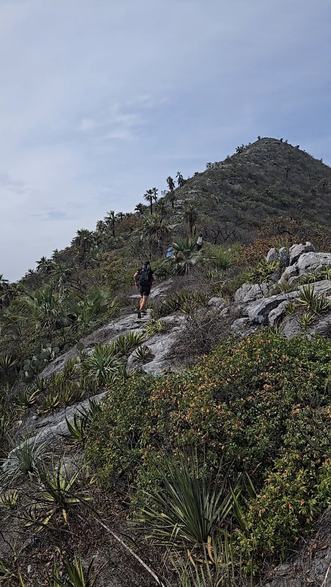 Wp 17634108871292564943994829935007