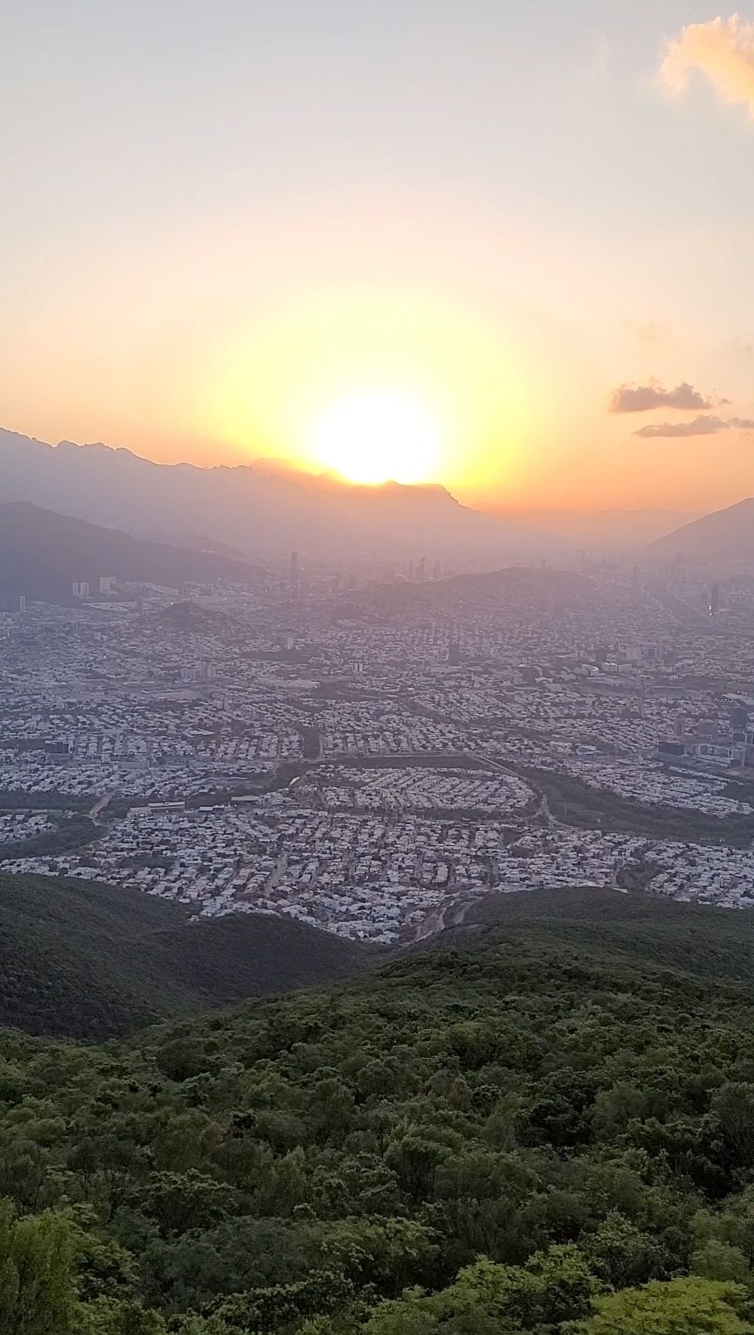 Wp 1763410887214285404230851453057