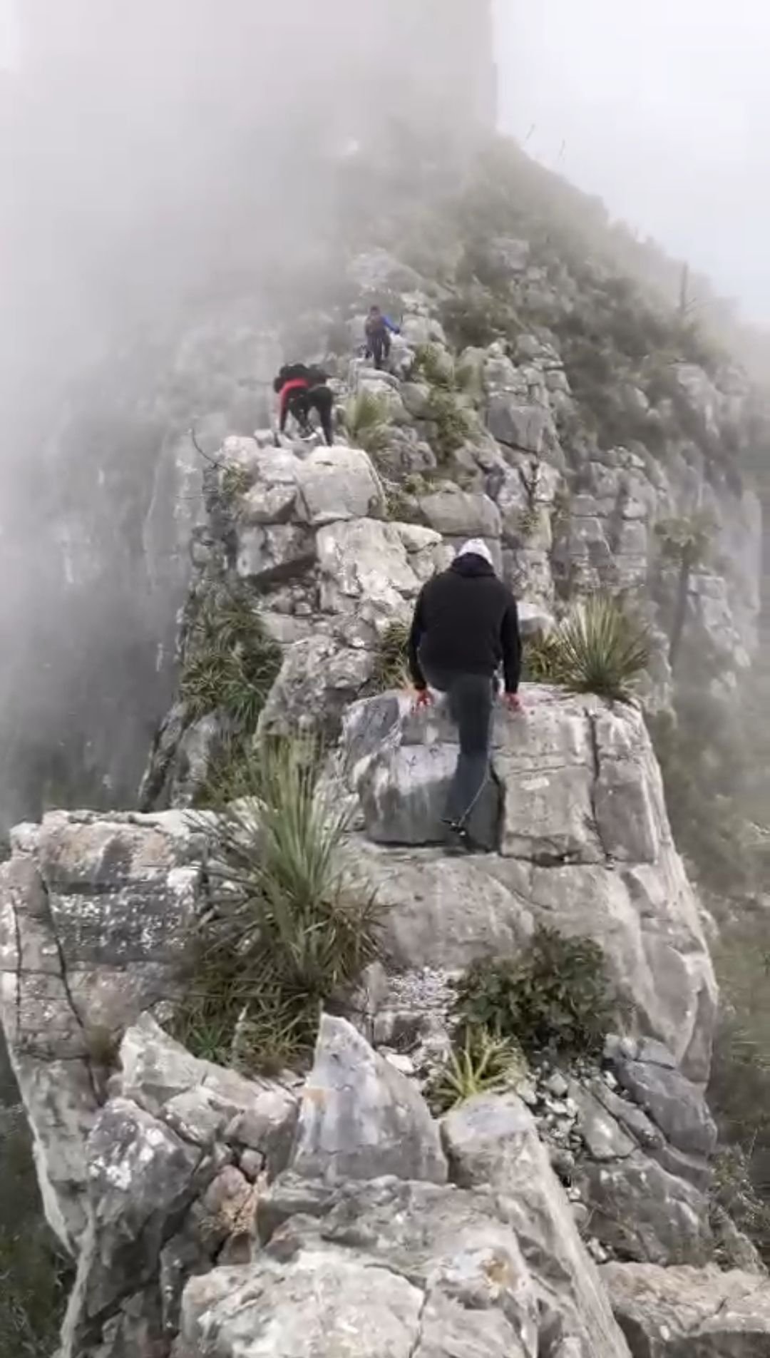 Wp 17634108876122085413993498655181