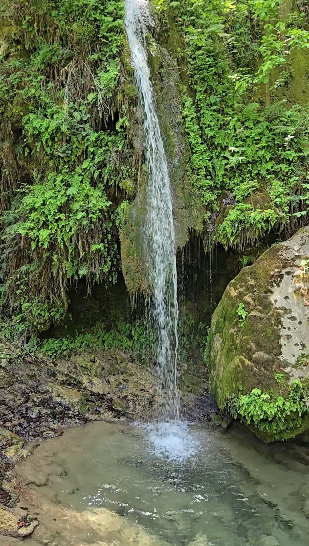 Wp 17634108879486219897821440050180