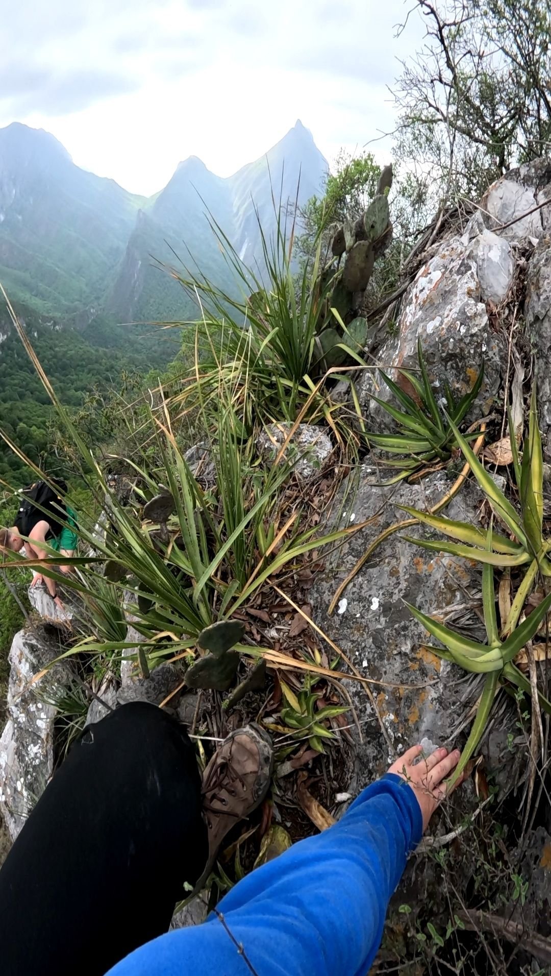 Wp 17634108880345206952527352192086