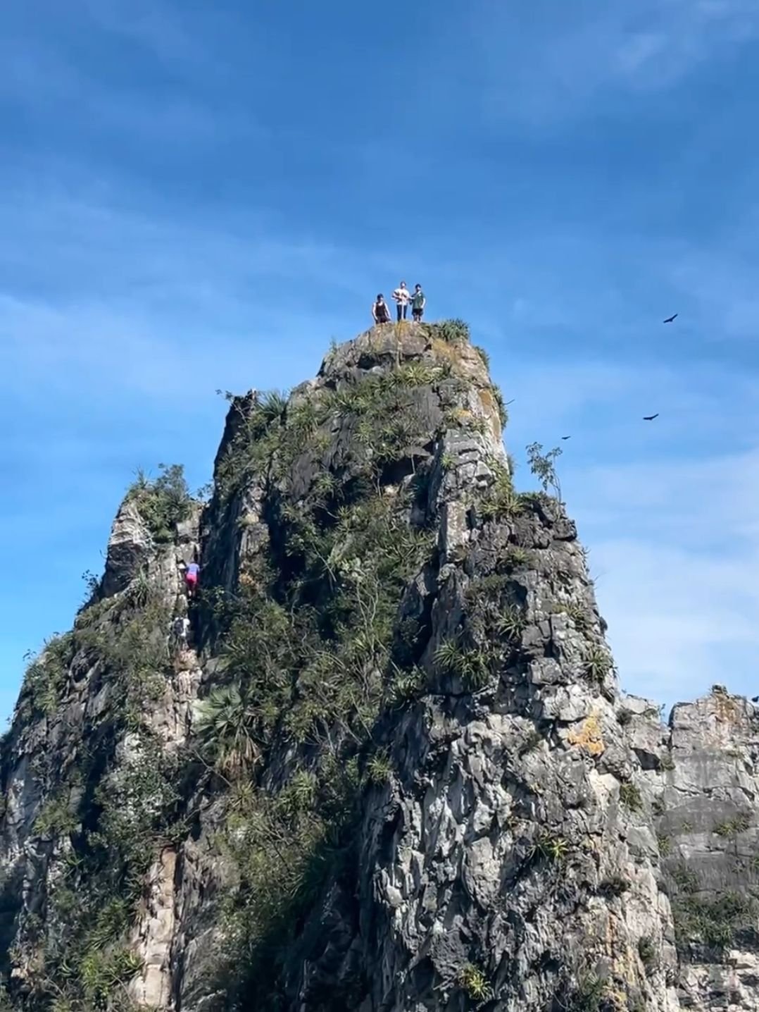 Wp 17634108881101504241318965109664