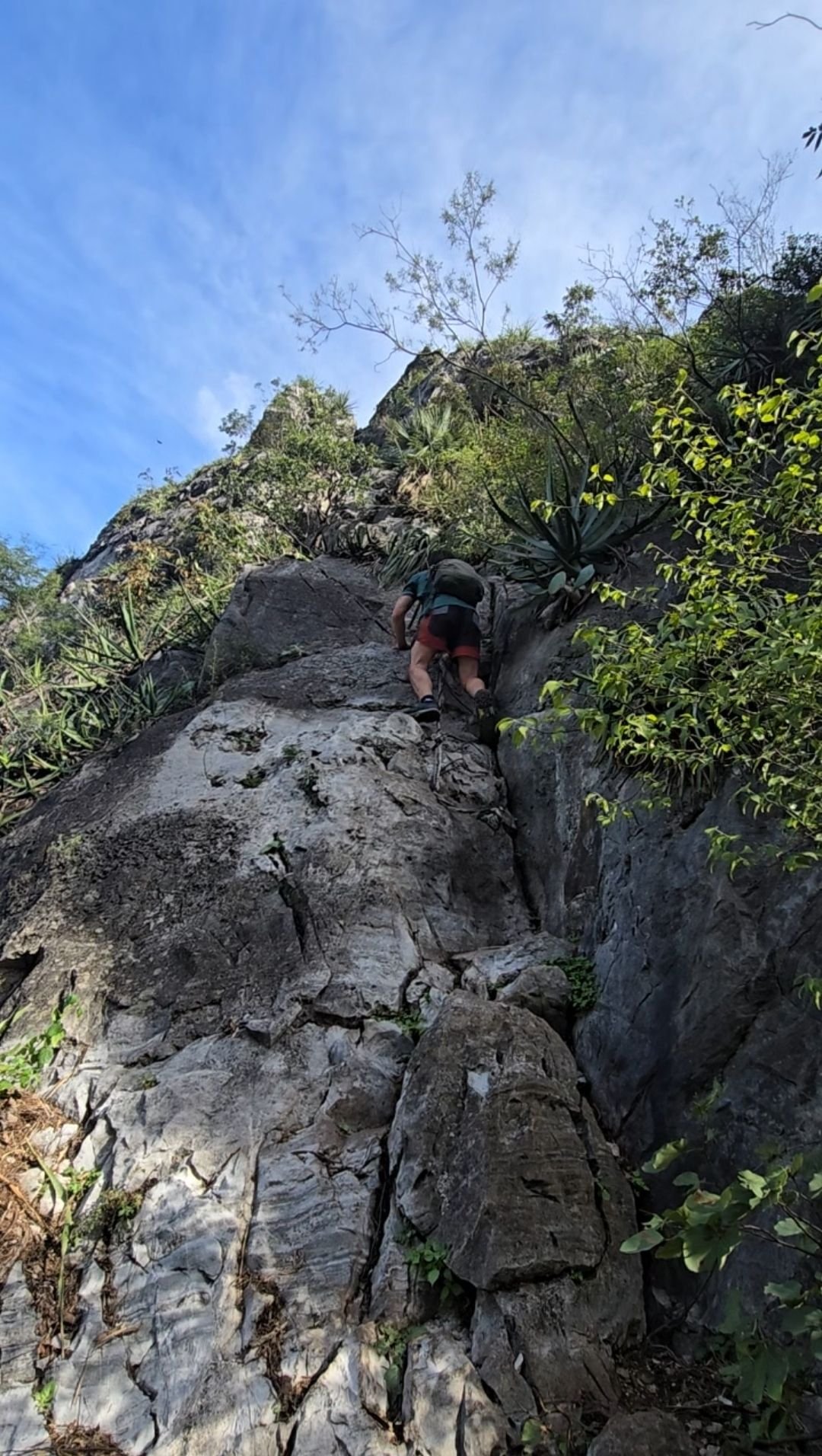 Wp 17634108882266635748838001156146