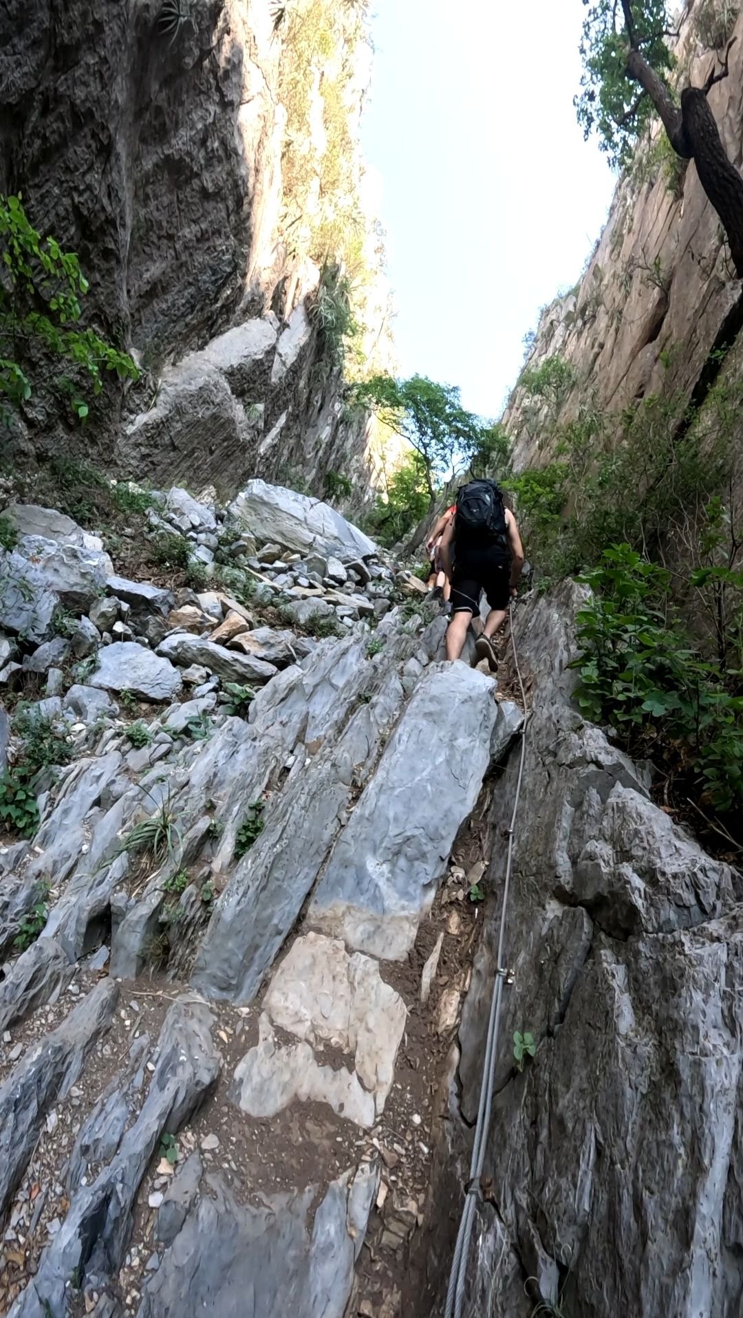 Wp 17634108886388638347044674582968