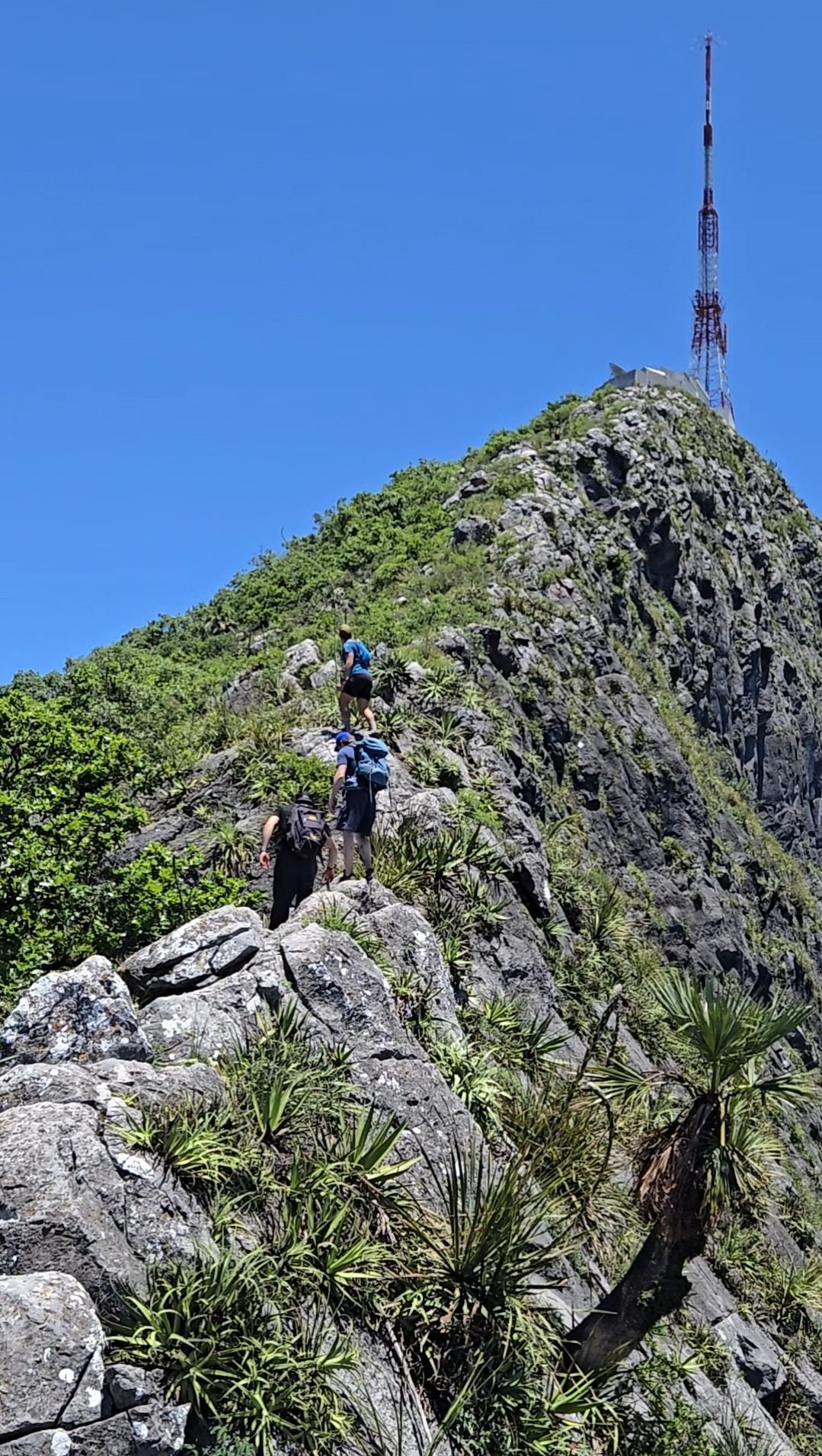 Wp 17634108888745072153361758458388