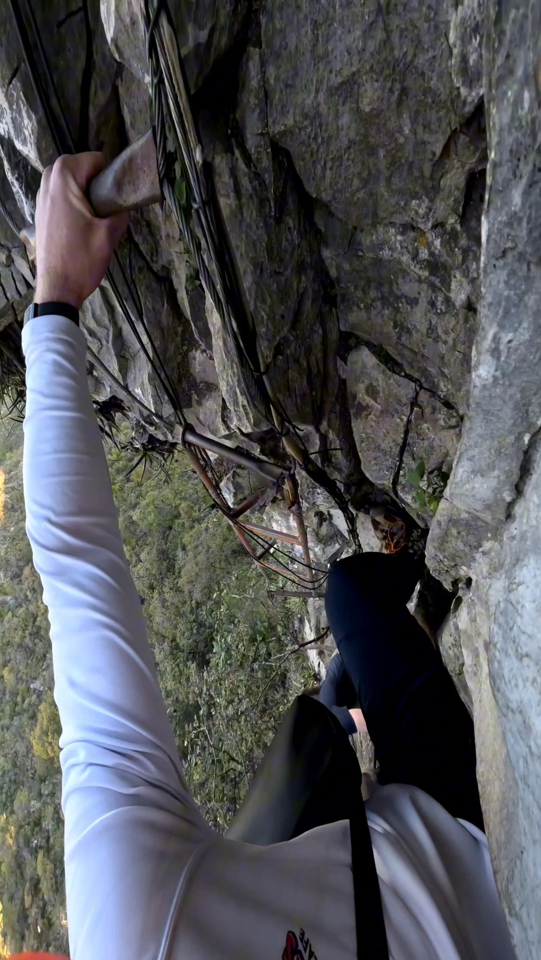 Screenshot 20260211 111958 Gallery