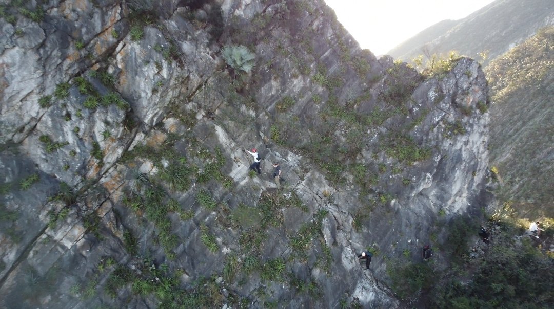 Screenshot 20260211 112017 Gallery