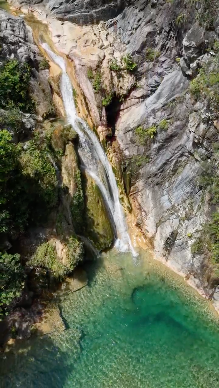 La Cebolla